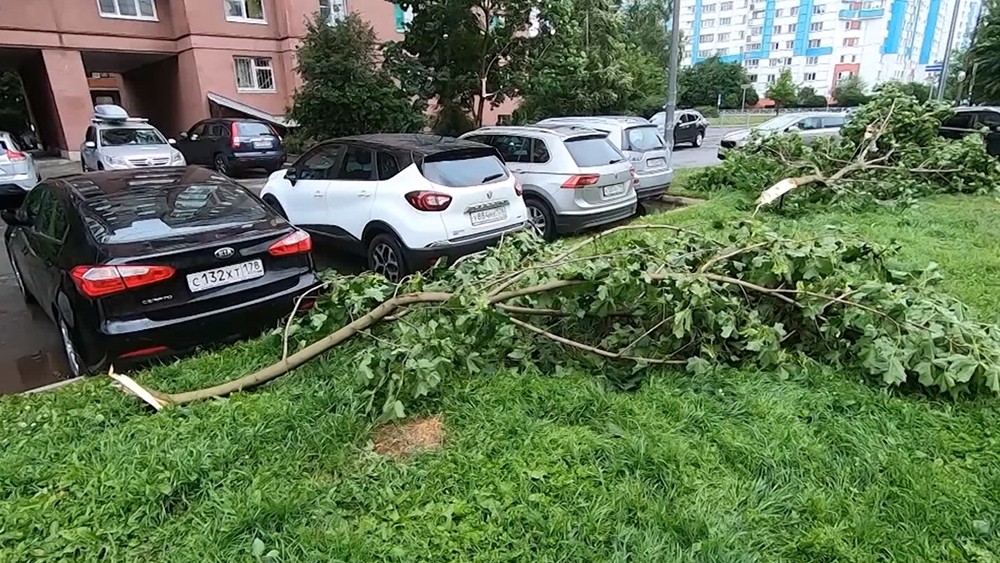 Последствия урагана в Санкт-Петербурге