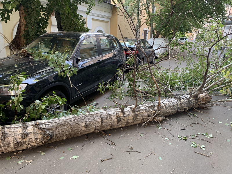 Стихия Урон