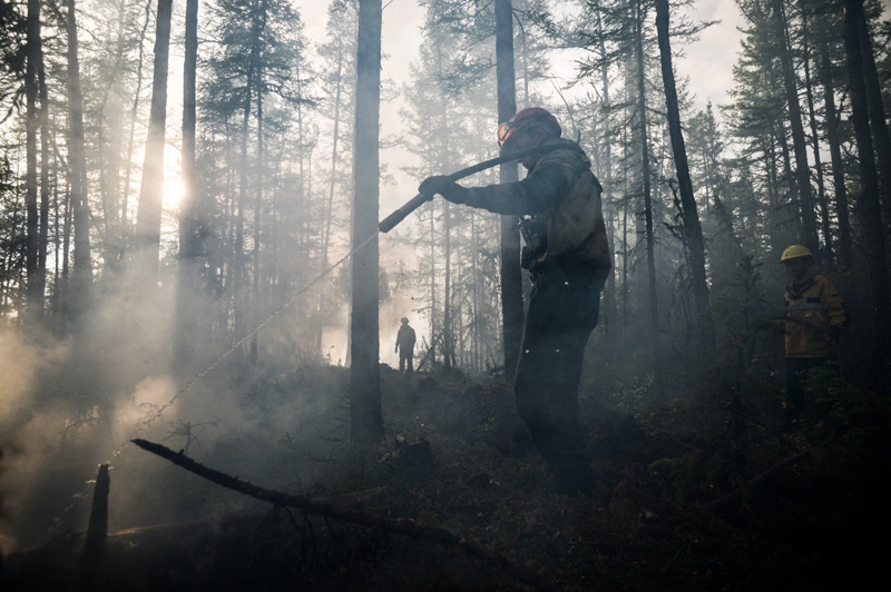 Лесной пожар в Якутии