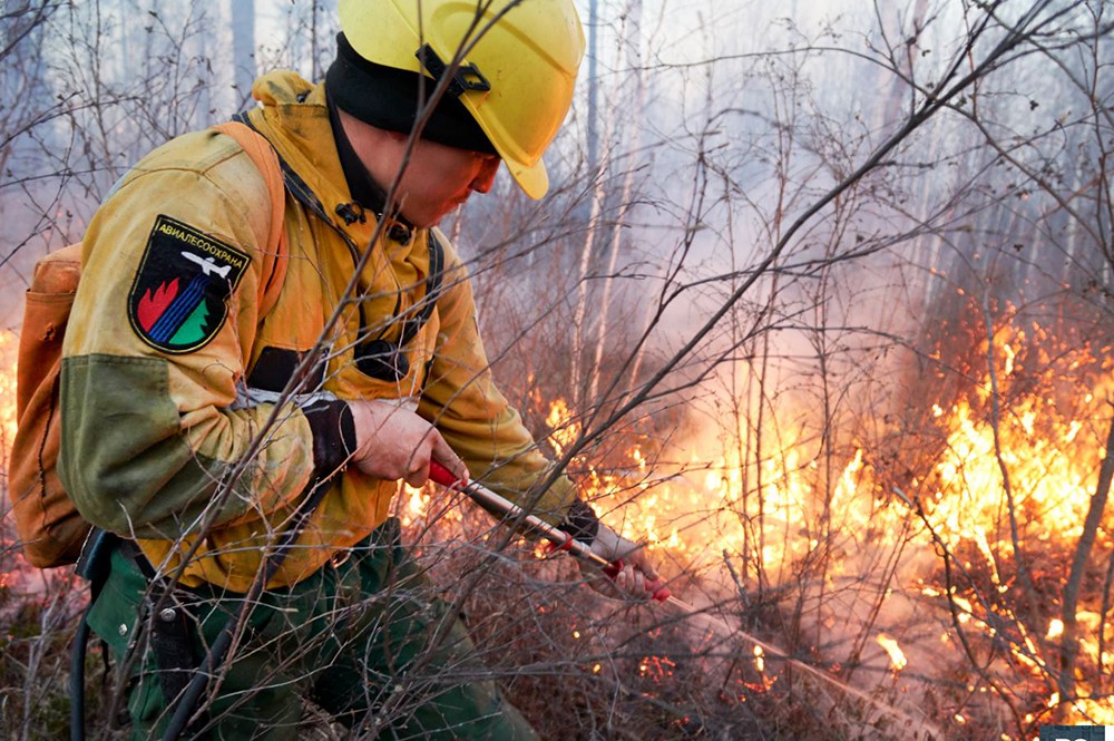 Сотрудники "Авиалесоохраны" тушат лесной пожар