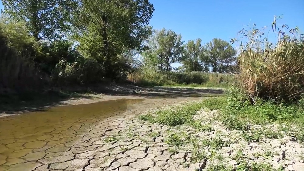 Засуха в Крыму