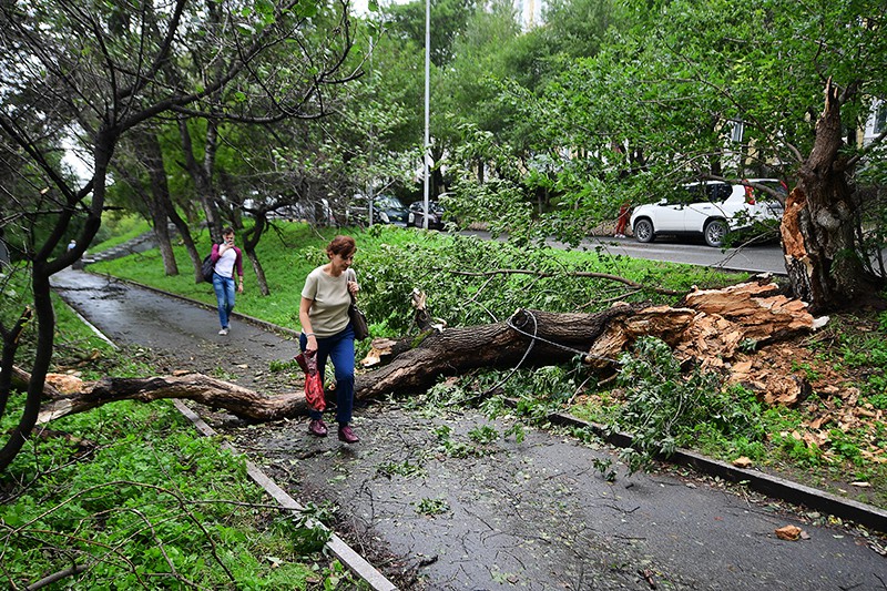 Последствия штормового ветра во Владивостоке из-за тайфуна "Майсак"