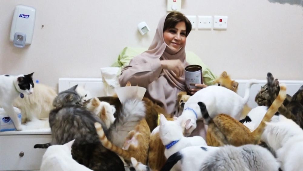 Мариам аль-Балуши держит дома 480 кошек и 12 собак