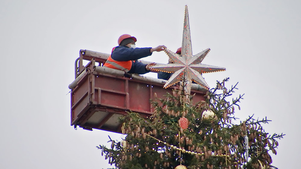 Морозко Новогодние Елки Морозко Новогодние Елки