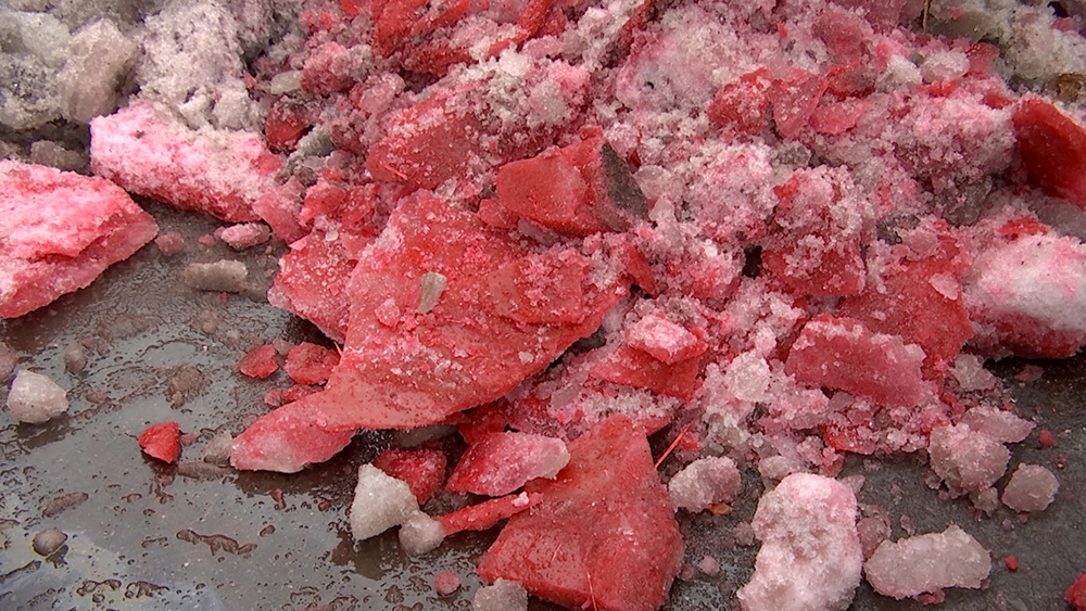 Выпал розовый снег. Красный снег водоросли. Красный снег в Антарктиде.