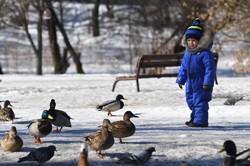 Ребенок на прогулке в парке "Сокольники"