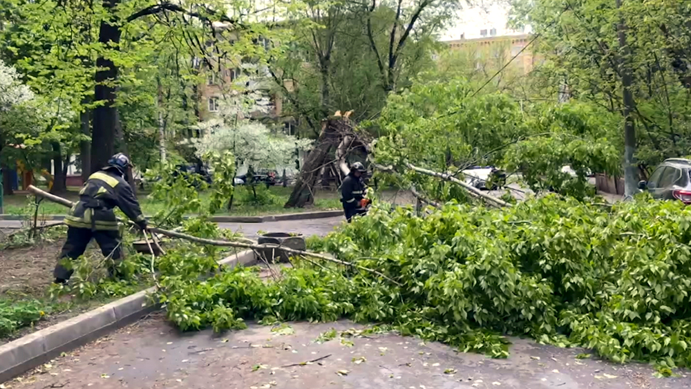 Последствия урагана в раменском районе. Сильный ураган в Белгороде в 90 годах.