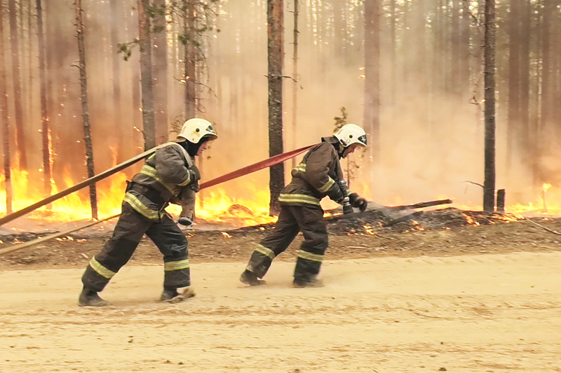 Лесные пожары в Карелии