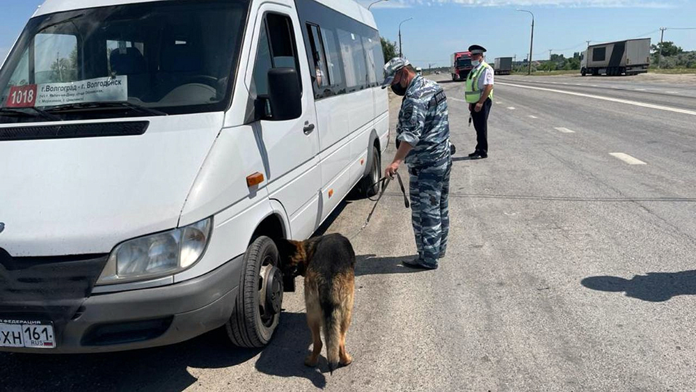 Изъятие наркотиков во время рейда