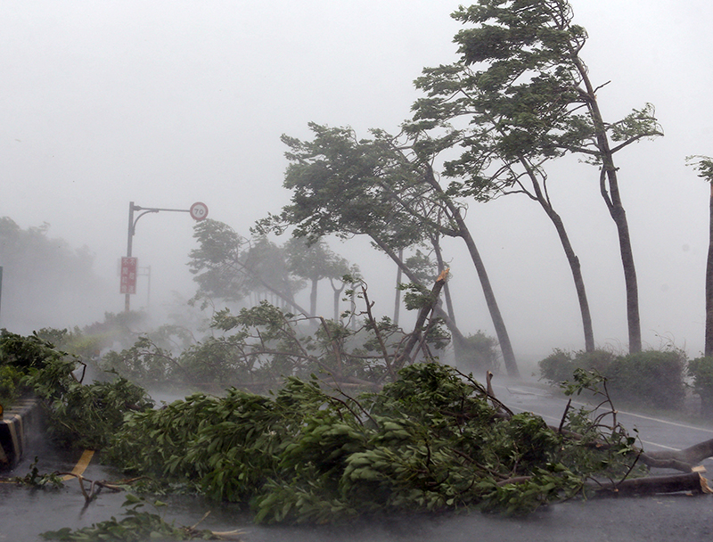 Тайфун на Тайване