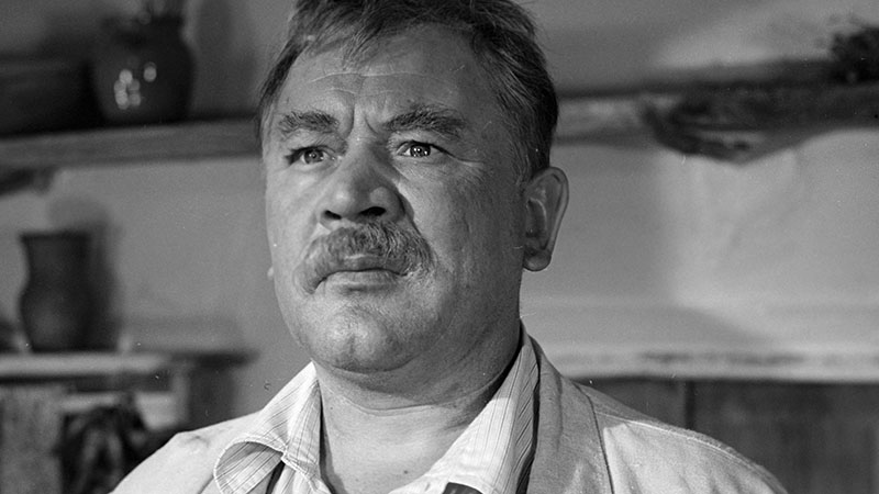 Актер банщиков борис фото Актёрские драмы. Анонс. "Актёрские драмы. Дерусь, потому что дерусь" :: ТВ Центр