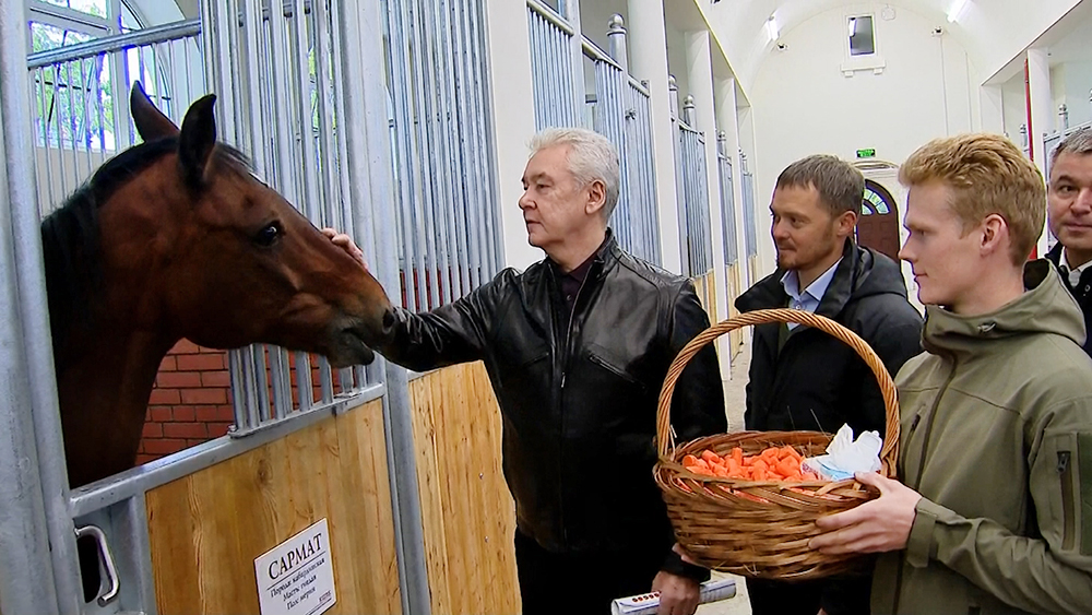 Сергей Собянин посетил конюшню