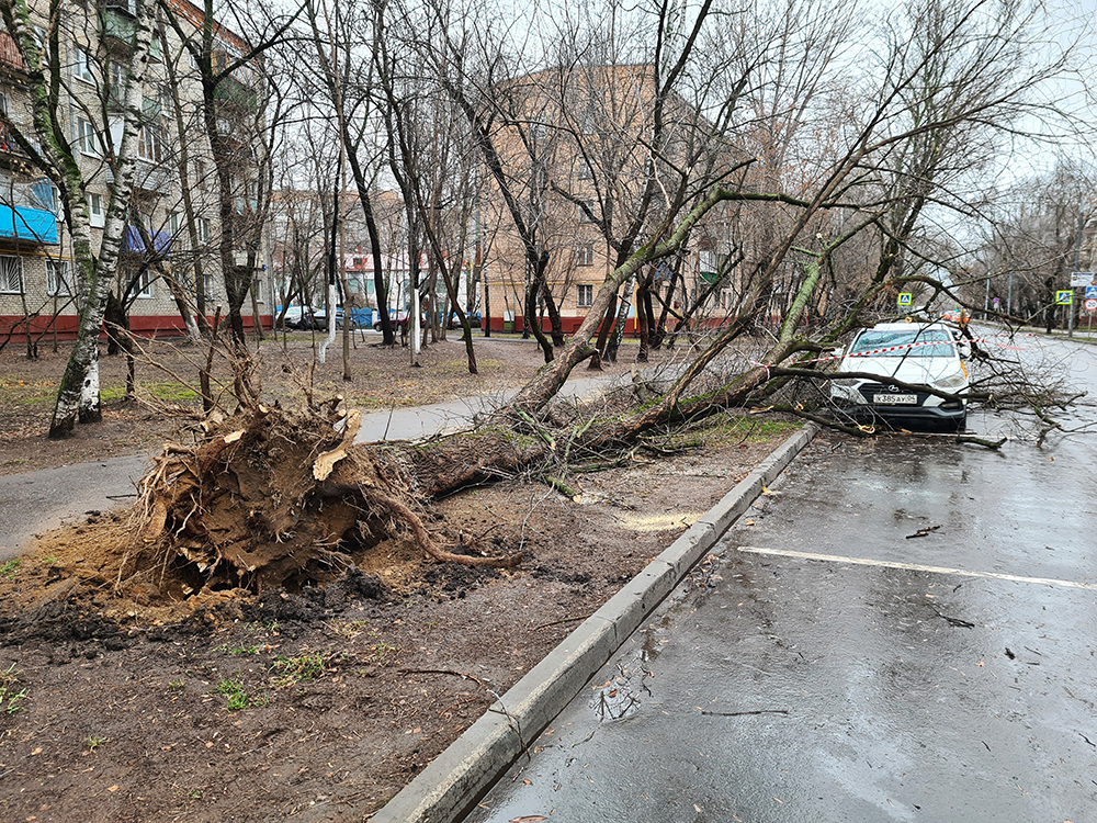 Последствия сильного ветра в Москве 