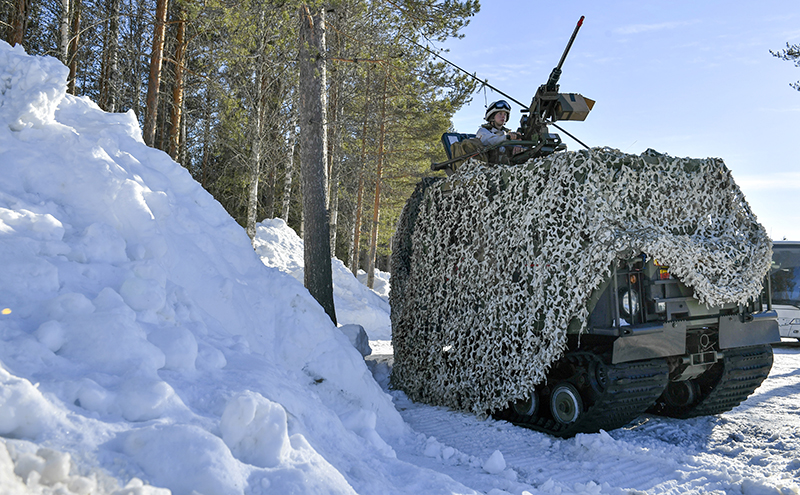 Военные Финляндии 