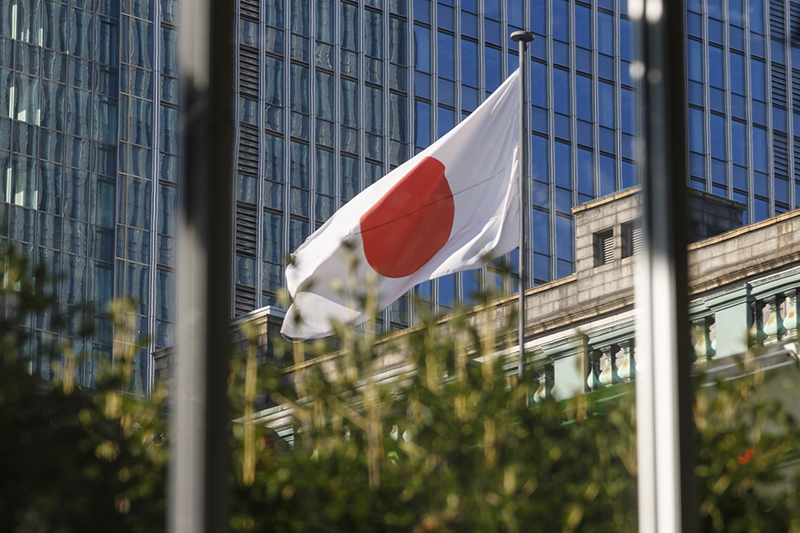 Японцы оценили ответ России на санкции Токио