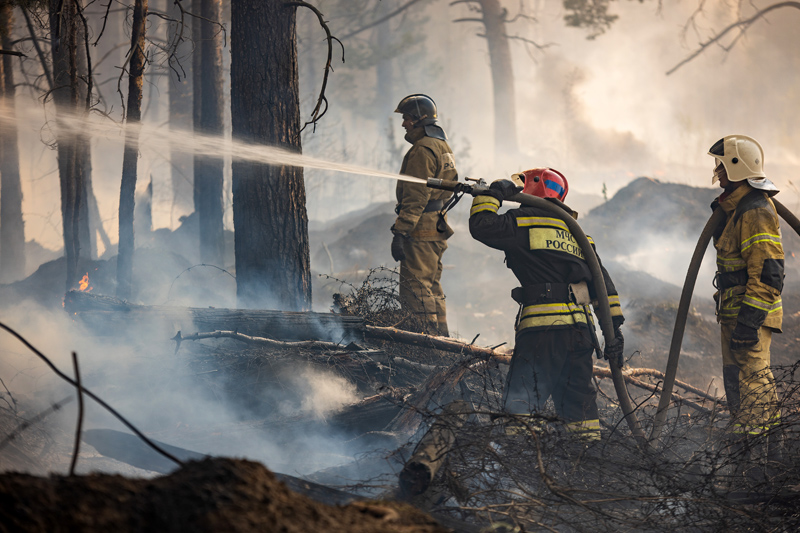 Ликвидация лесного пожара 