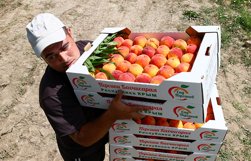 сборщик персиков изобрел