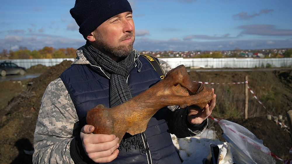 скелет древнего носорога. нашли носорога. шерстистый носорог пенза. раскопки в узбекистане. шерстистый носорог якутия.