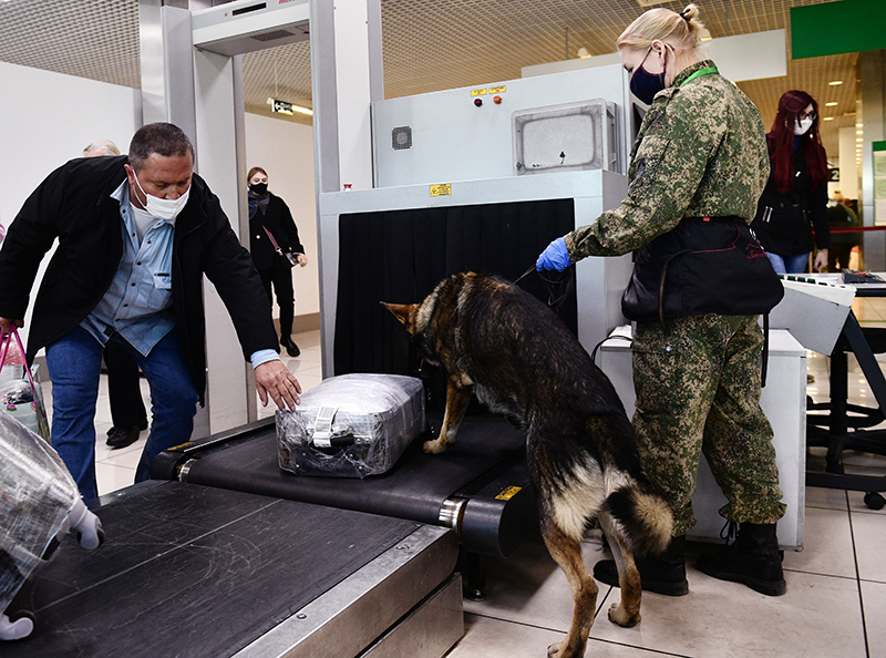 России угрожают терактами. Пулково досмотр. Безопасность в аэропорту. Таможенный досмотр с собакой.