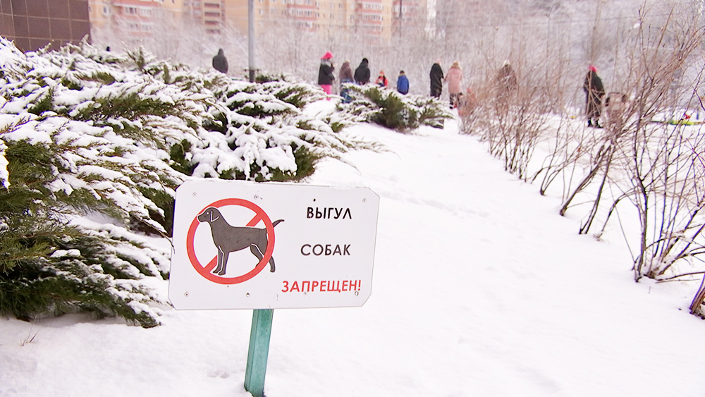 Выгул собак запрещен 