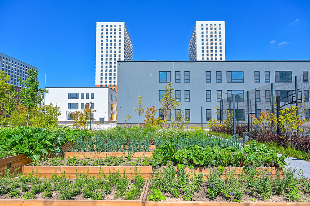 Собянин: Новая школа в Орехово-Борисово Южном откроется к началу ...