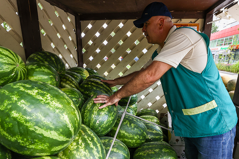 В Москве начался сезон арбузов :: Новости :: ТВ Центр
