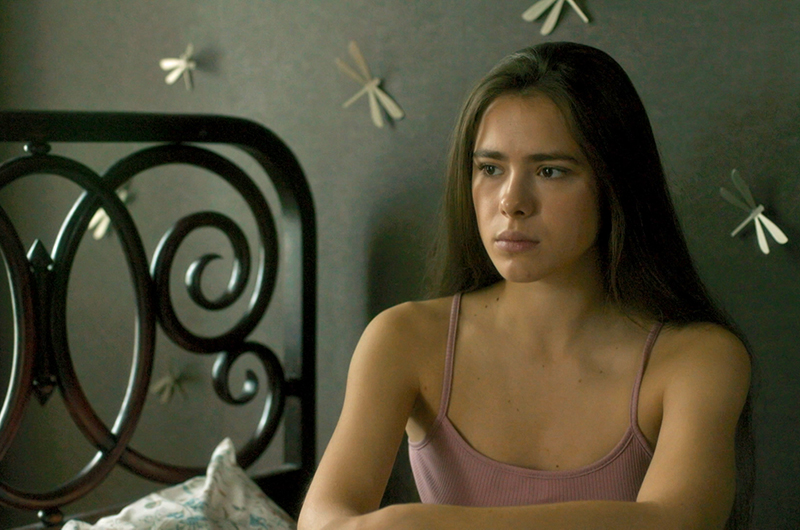 книжная девочка 2023. лицо закрытое книгой. книжный вор лизель. девушка с книгой в руках. красивая девушка с книгой в руках.