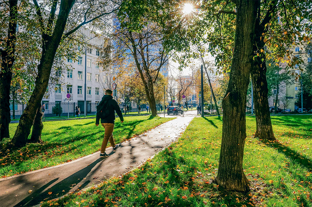 Благоустройство