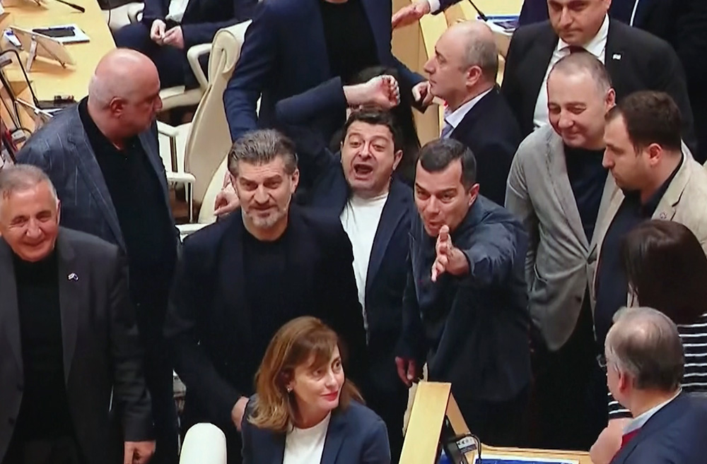 Депутаты парламента Грузии