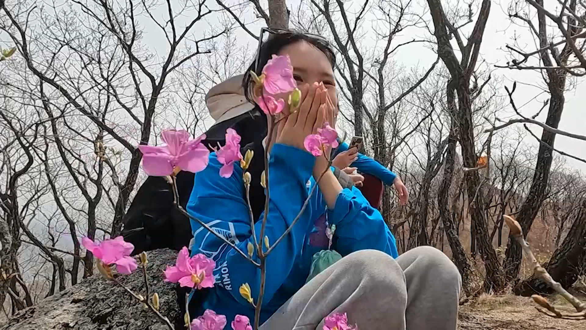 Фестиваль, посвященный цветению рододендрона  