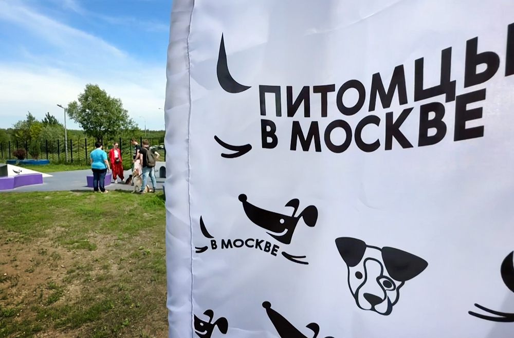 Городской проект "Питомцы в Москве"