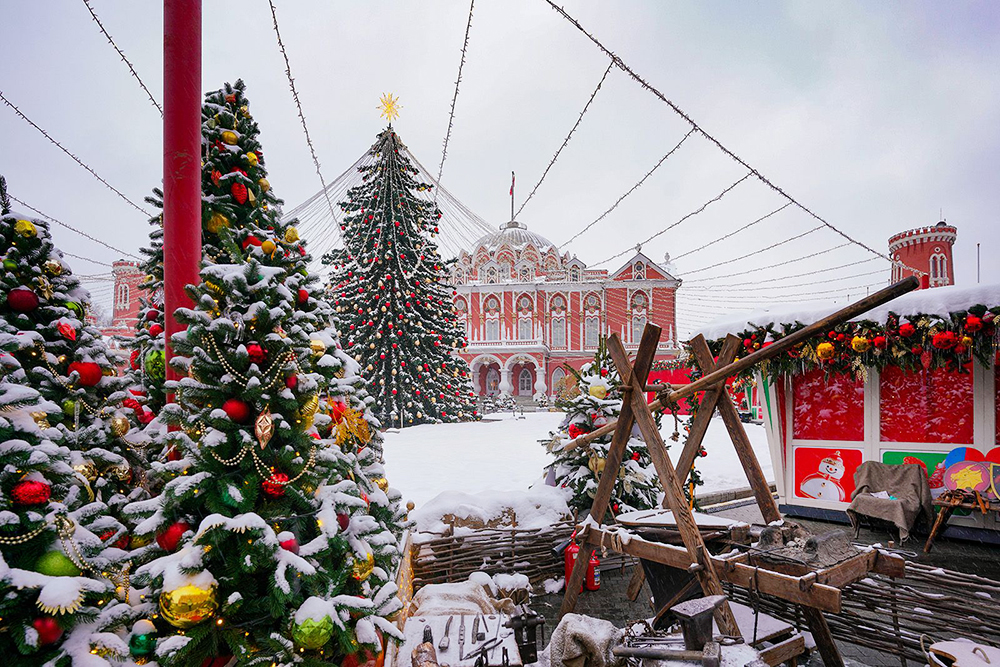 Петровский путевой дворец