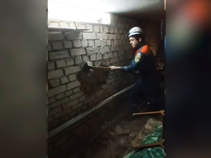 Девушка монстр которую я спас. Девушка монстр которую я спас